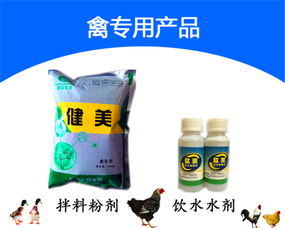 蛋鸡微生态制剂 养殖增效的绿色新引擎